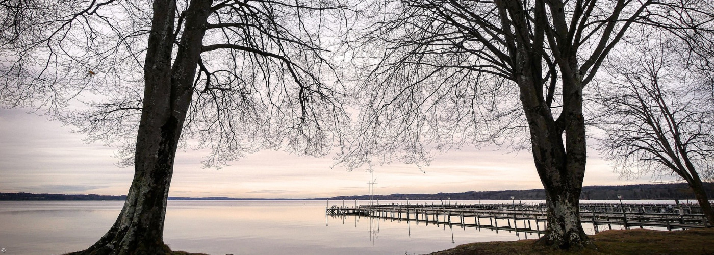 Trauer Starnberger See Bäume Pier