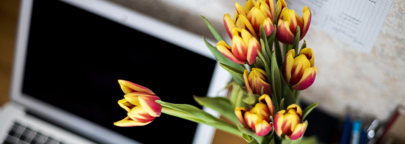 Blumen Laptop Schreibtisch