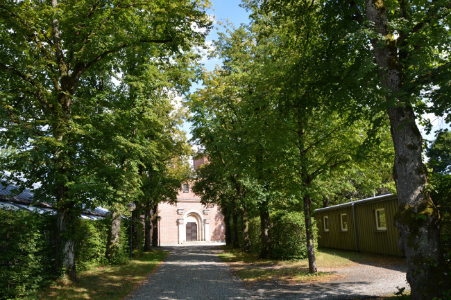 Lindenallee der Christuskirche